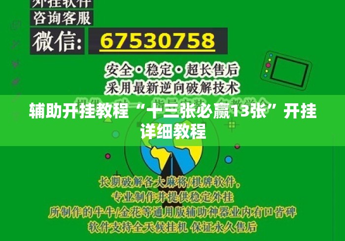 辅助开挂教程“十三张必赢13张	”开挂详细教程