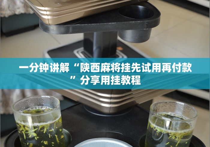 一分钟讲解“陕西麻将挂先试用再付款	”分享用挂教程
