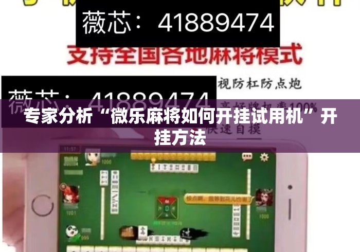 专家分析“微乐麻将如何开挂试用机”开挂方法