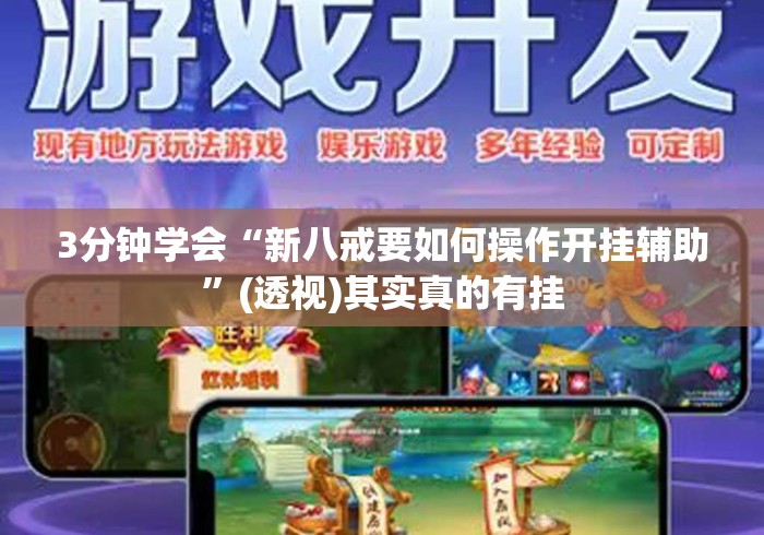 3分钟学会“新八戒要如何操作开挂辅助”(透视)其实真的有挂