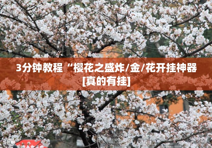 必备科技“大头游戏十三水开挂辅助器是什么弄的	”其实确实有挂