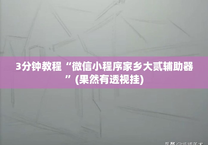 3分钟教程“微信小程序家乡大贰辅助器”(果然有透视挂)