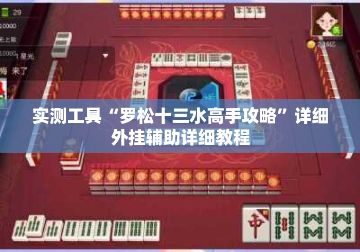 实测工具“罗松十三水高手攻略	”详细外挂辅助详细教程