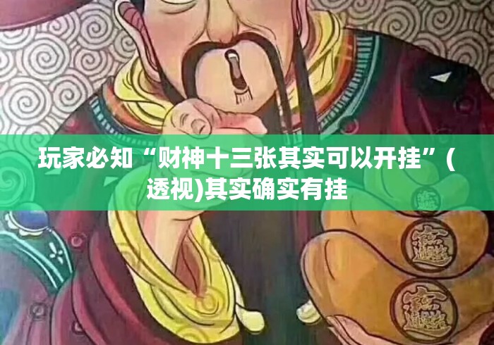 玩家必知“财神十三张其实可以开挂”(透视)其实确实有挂
