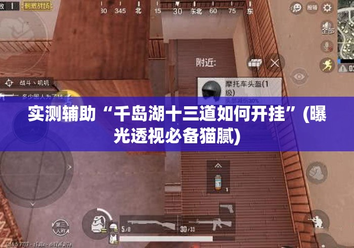 实测辅助“千岛湖十三道如何开挂”(曝光透视必备猫腻)