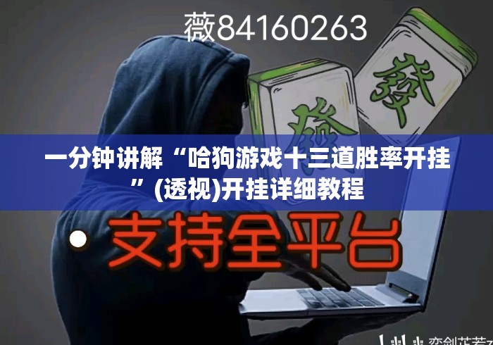 一分钟讲解“哈狗游戏十三道胜率开挂”(透视)开挂详细教程