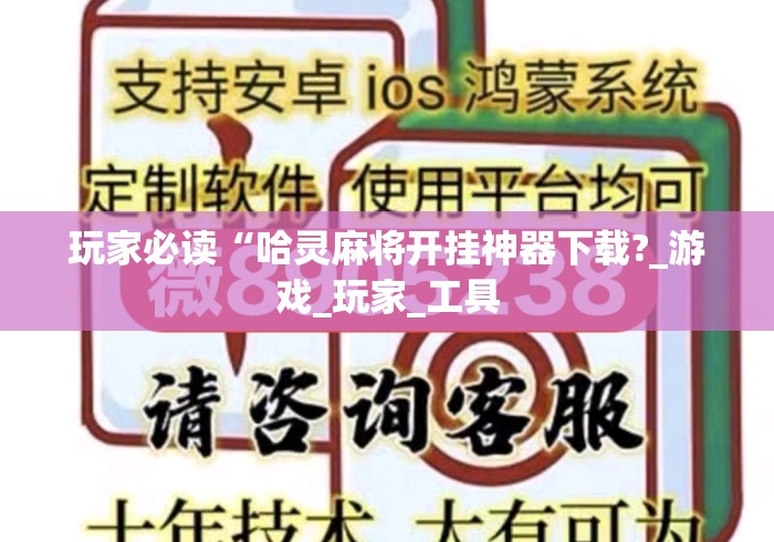 玩家必读“哈灵麻将开挂神器下载?_游戏_玩家_工具 玩家必读“哈灵麻将开挂神器下载?_游戏_玩家_工具