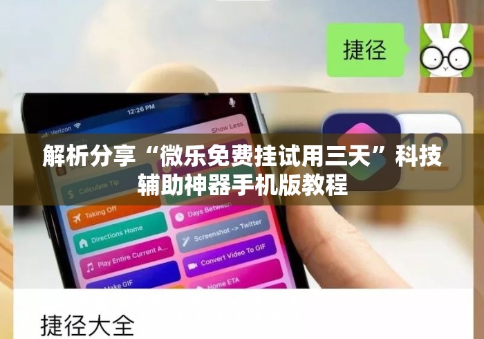 解析分享“微乐免费挂试用三天	”科技辅助神器手机版教程