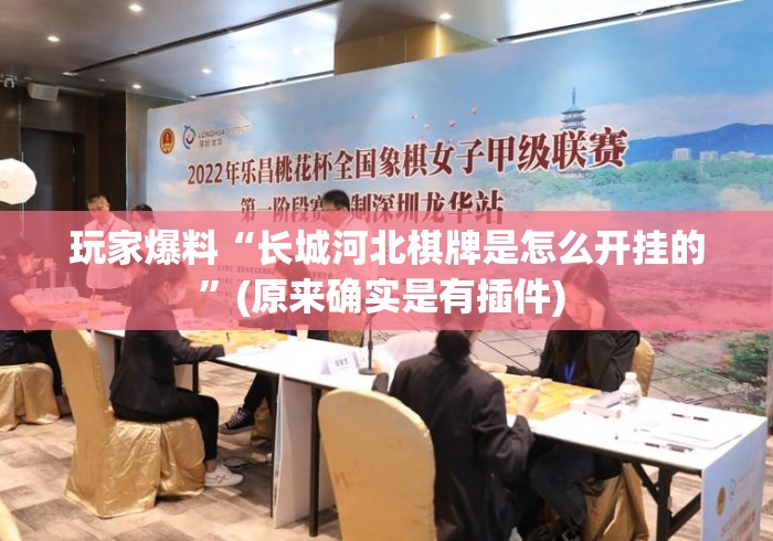 玩家爆料“长城河北棋牌是怎么开挂的	”(原来确实是有插件) 
