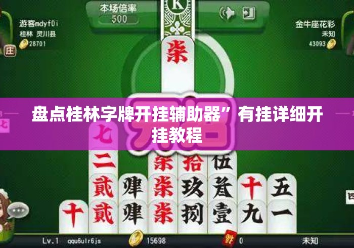 盘点桂林字牌开挂辅助器	”有挂详细开挂教程