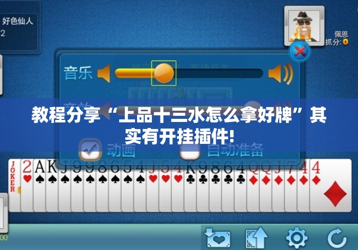教程分享“上品十三水怎么拿好牌	”其实有开挂插件!