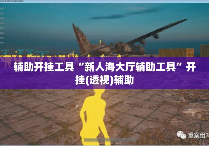 辅助开挂工具“新人海大厅辅助工具	”开挂(透视)辅助