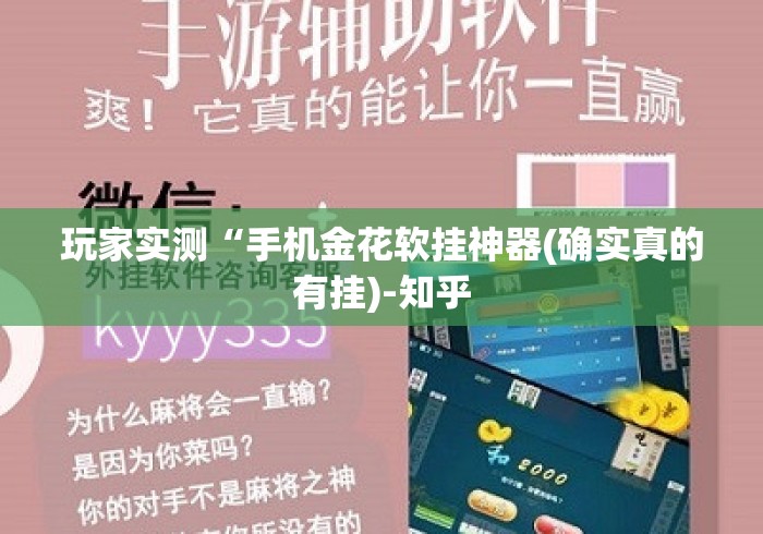 玩家实测“手机金花软挂神器(确实真的有挂)-知乎 玩家实测“手机金花软挂神器(确实真的有挂)-知乎