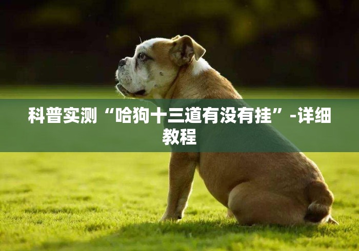 科普实测“哈狗十三道有没有挂”-详细教程