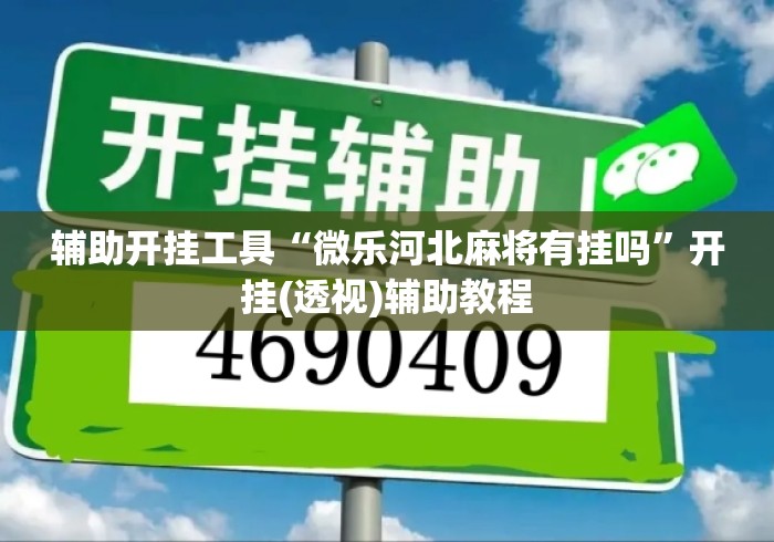 辅助开挂工具“微乐河北麻将有挂吗”开挂(透视)辅助教程