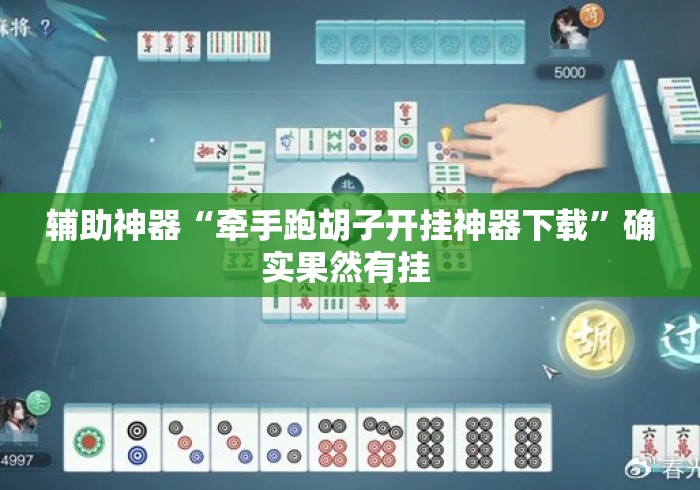 辅助神器“牵手跑胡子开挂神器下载”确实果然有挂 