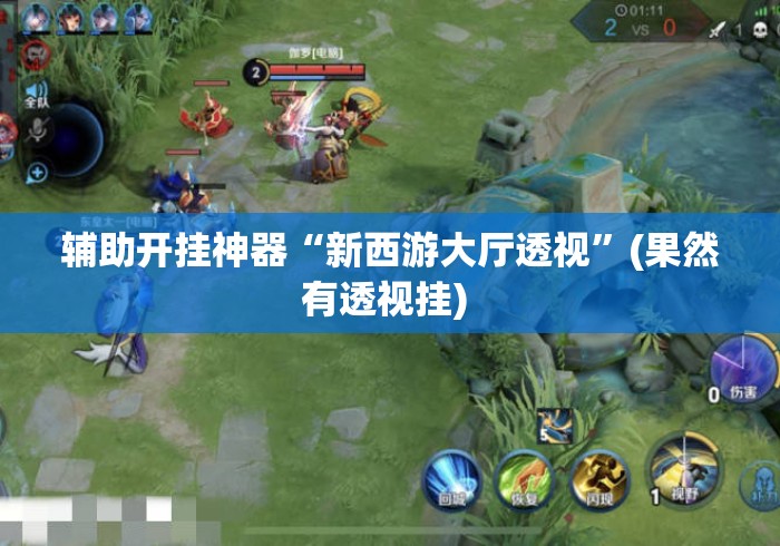 辅助开挂神器“新西游大厅透视”(果然有透视挂) 