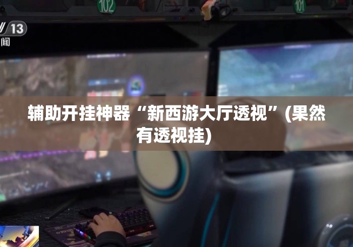 辅助开挂神器“新西游大厅透视”(果然有透视挂) 