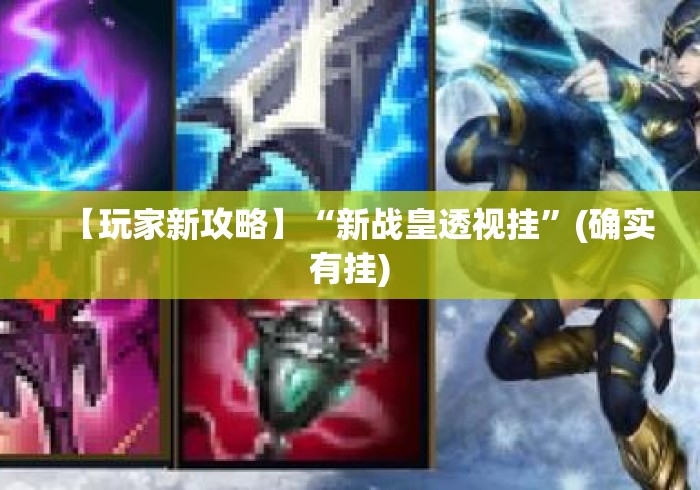 【玩家新攻略】“新战皇透视挂”(确实有挂)