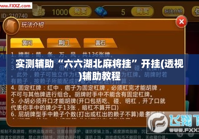 实测辅助“六六湖北麻将挂”开挂(透视)辅助教程