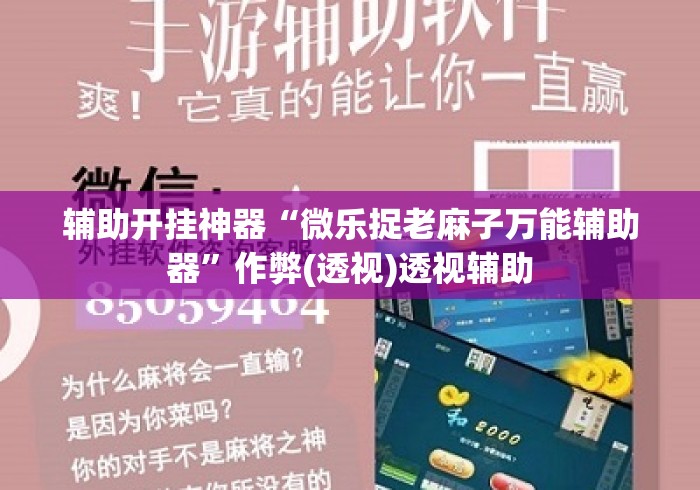 辅助开挂神器“微乐捉老麻子万能辅助器”作弊(透视)透视辅助