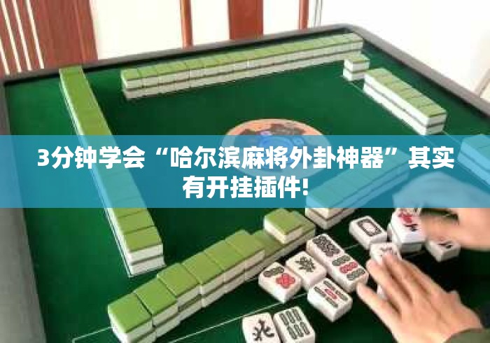 3分钟学会“哈尔滨麻将外卦神器”其实有开挂插件!
