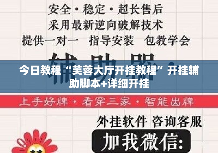 今日教程“芙蓉大厅开挂教程	”开挂辅助脚本+详细开挂