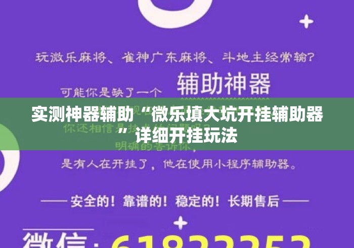 实测神器辅助“微乐填大坑开挂辅助器”详细开挂玩法