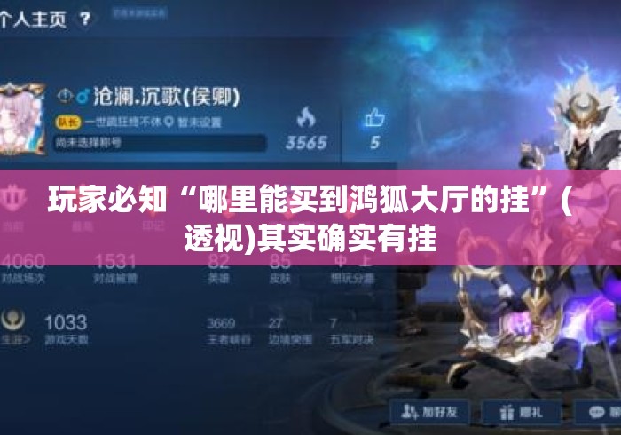 玩家必知“哪里能买到鸿狐大厅的挂”(透视)其实确实有挂