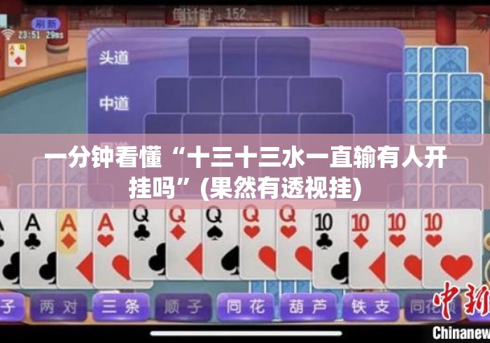 一分钟看懂“十三十三水一直输有人开挂吗”(果然有透视挂)