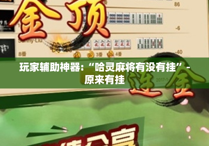 玩家辅助神器:“哈灵麻将有没有挂”-原来有挂