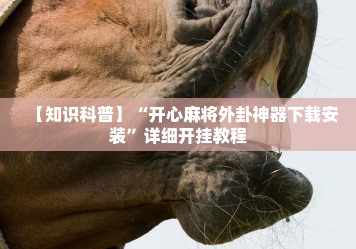 【知识科普】“开心麻将外卦神器下载安装	”详细开挂教程