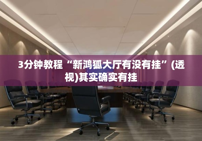 3分钟教程“新鸿狐大厅有没有挂”(透视)其实确实有挂