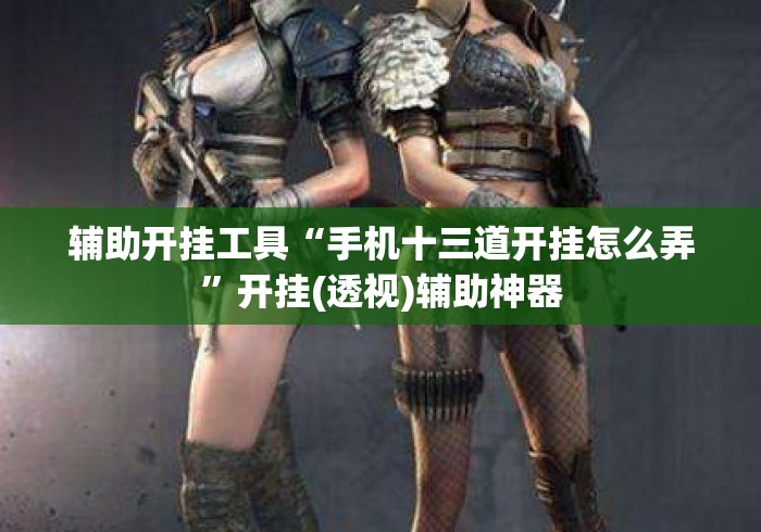辅助开挂工具“手机十三道开挂怎么弄	”开挂(透视)辅助神器