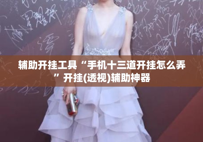 辅助开挂工具“手机十三道开挂怎么弄	”开挂(透视)辅助神器