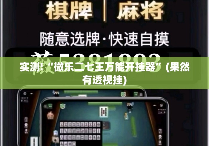 实测!“微乐二七王万能开挂器”(果然有透视挂)