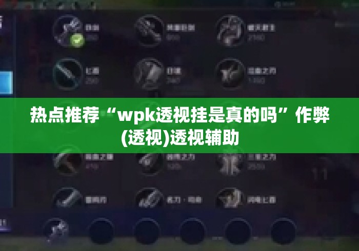 热点推荐“wpk透视挂是真的吗”作弊(透视)透视辅助