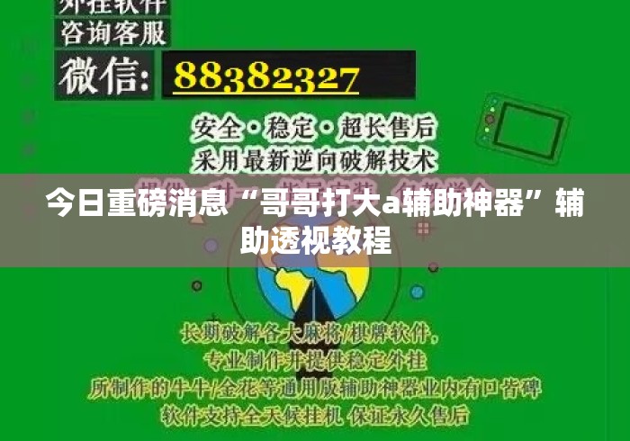今日重磅消息“哥哥打大a辅助神器”辅助透视教程