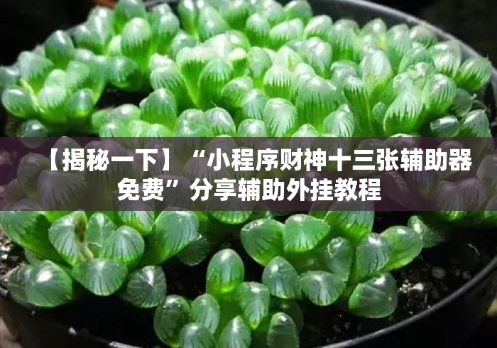 【揭秘一下】“小程序财神十三张辅助器免费”分享辅助外挂教程