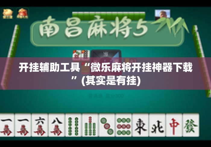 开挂辅助工具“微乐麻将开挂神器下载”(其实是有挂)