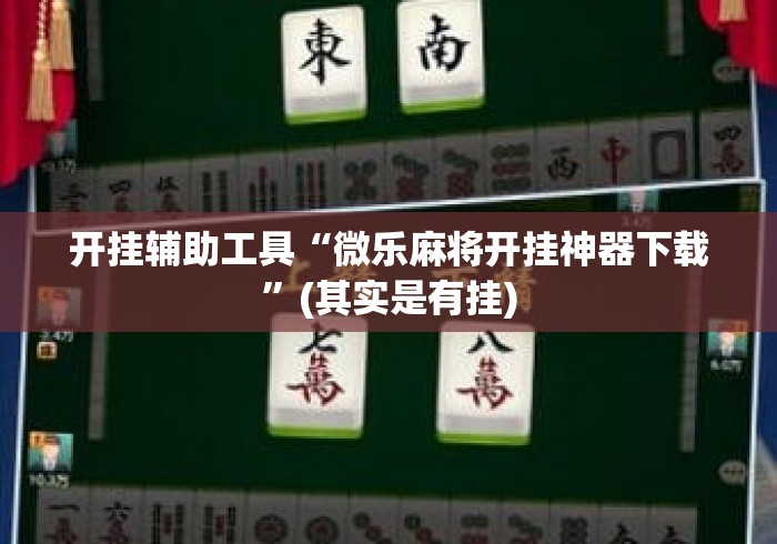 开挂辅助工具“微乐麻将开挂神器下载”(其实是有挂)