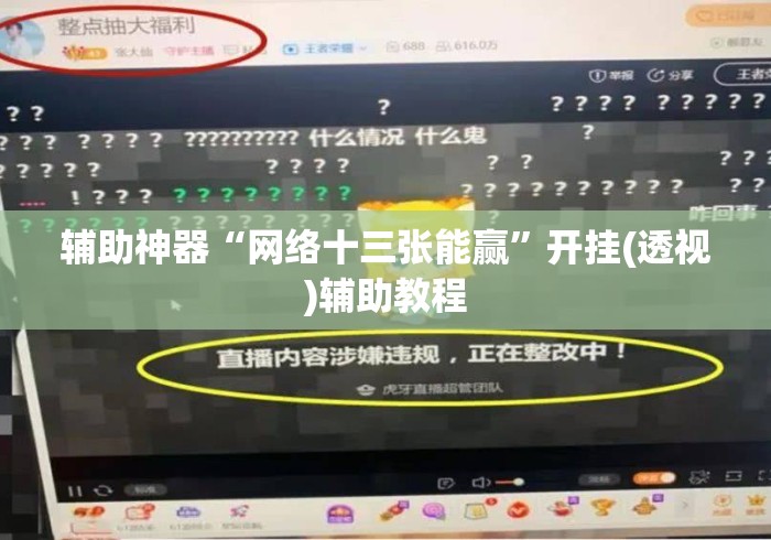 辅助神器“网络十三张能赢”开挂(透视)辅助教程