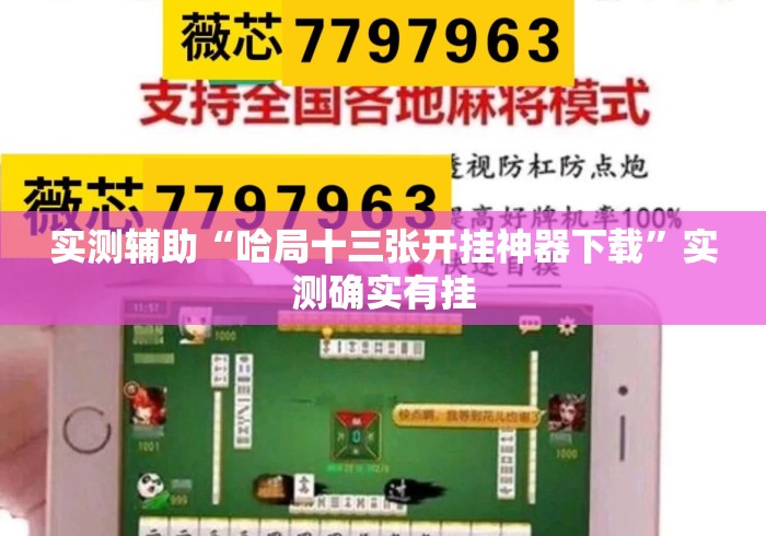 实测辅助“哈局十三张开挂神器下载	”实测确实有挂
