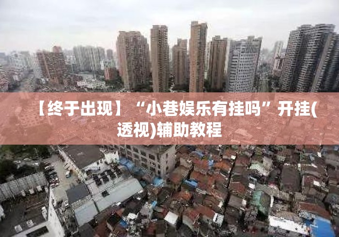 【终于出现】“小巷娱乐有挂吗”开挂(透视)辅助教程