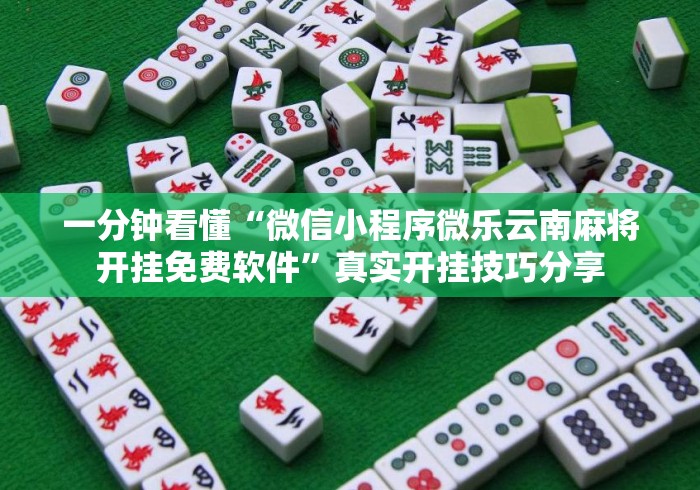 一分钟看懂“微信小程序微乐云南麻将开挂免费软件”真实开挂技巧分享