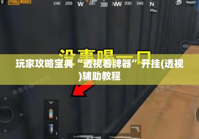 玩家攻略宝典“透视看牌器”开挂(透视)辅助教程