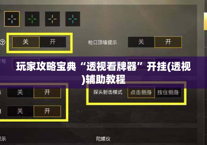 玩家攻略宝典“透视看牌器	”开挂(透视)辅助教程