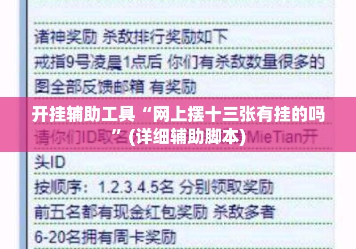开挂辅助工具“网上摆十三张有挂的吗”(详细辅助脚本)