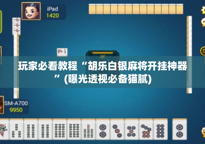 玩家必看教程“胡乐白银麻将开挂神器	”(曝光透视必备猫腻)