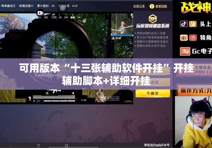 可用版本“十三张辅助软件开挂”开挂辅助脚本+详细开挂